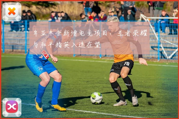 年亚冬会新增电竞项目，王者荣耀与和平精英入选在望